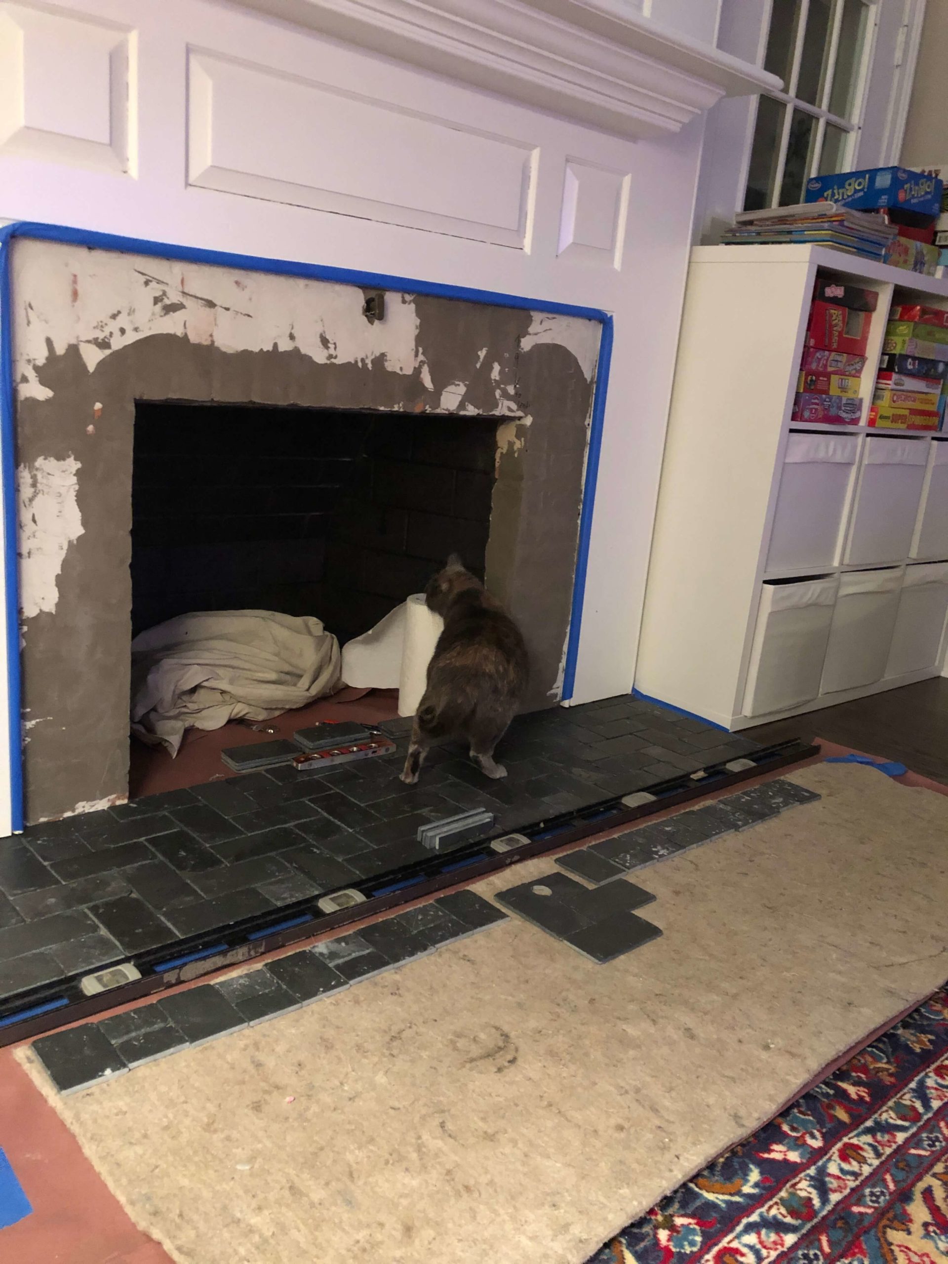Curious cat checking out fireplace work in progress update Lindsey Putzier Design Studio