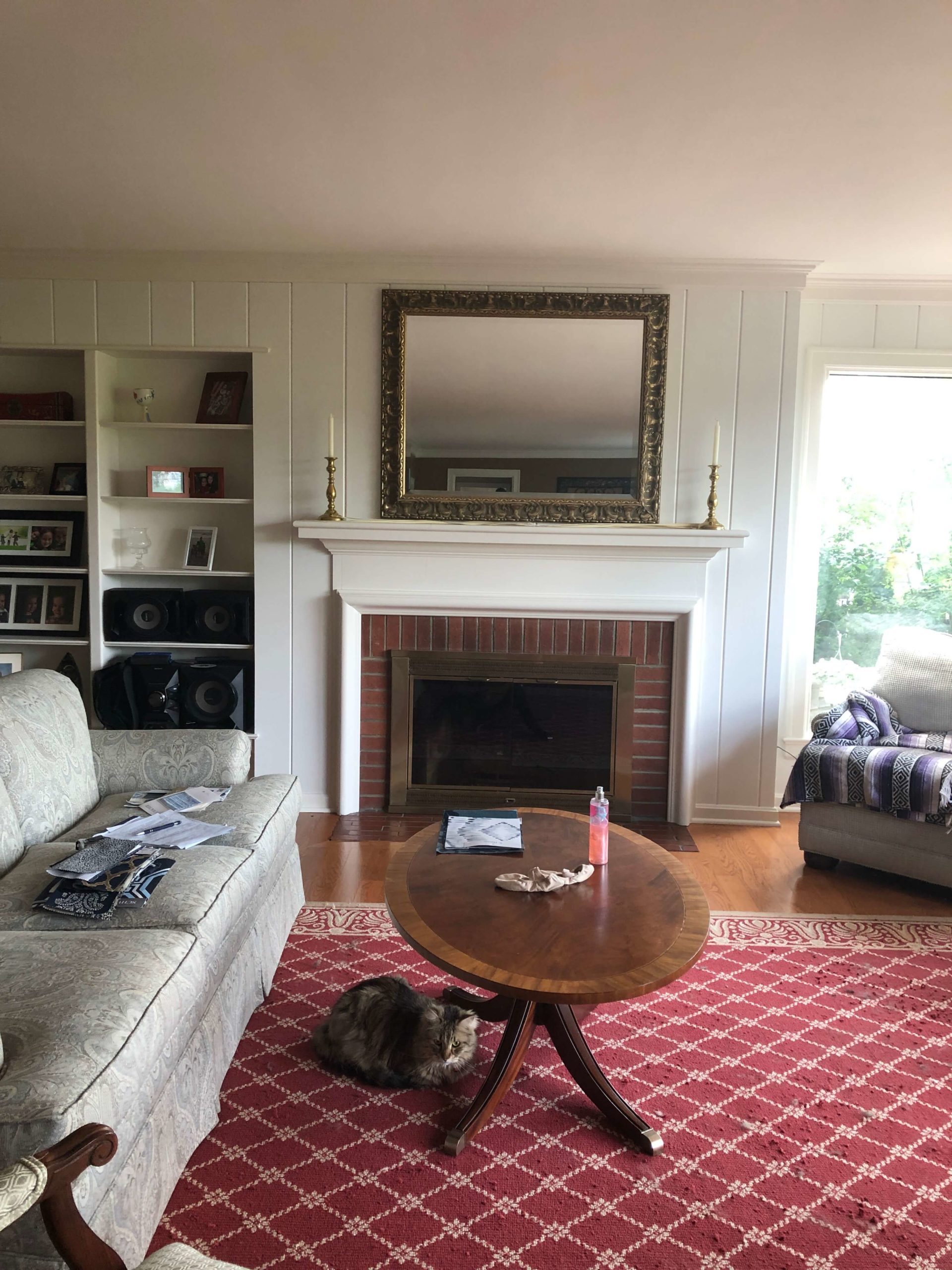 Cat on Hooked Rug Family Room Space Before Eclectic Interiors