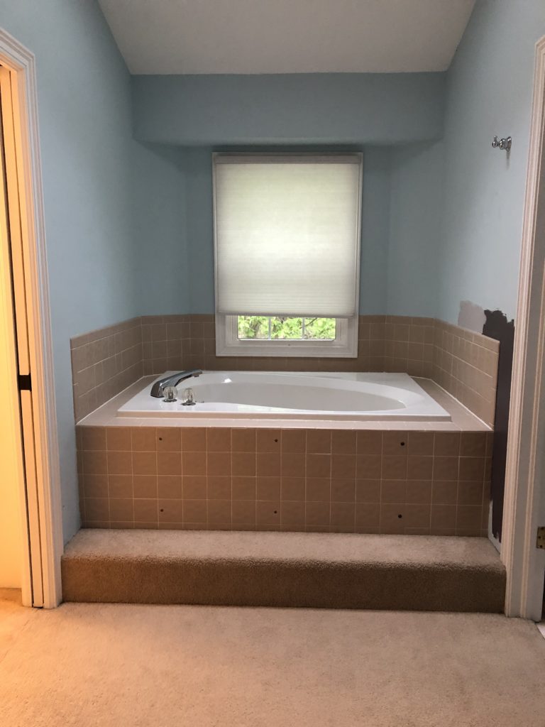 Before Photo of Designer's Master Bathroom Lindsey Putzier Design Studio Hudson, OH