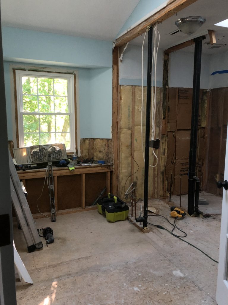 Transition Photo of taking out wall in Master Bath Lindsey Putzier Design Studio